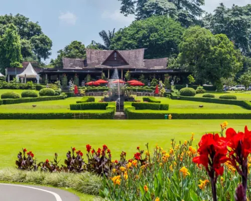 Full Day Bogor Botanical Garden And Puncak Highland Tour